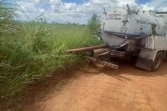 DF Legal aplica multa de R$ 30 mil após flagrante de descarte irregular no Jardim Botânico