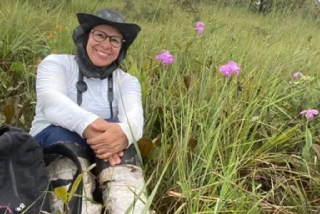 Fratura, vespas e frio: a história da professora perdida 17h na mata