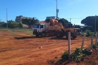 Mutirão reforça limpeza urbana e recuperação de espaços públicos em Ceilândia