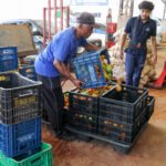 Programa Desperdício Zero distribui mais de 96 toneladas de alimentos no DF no início de 2026