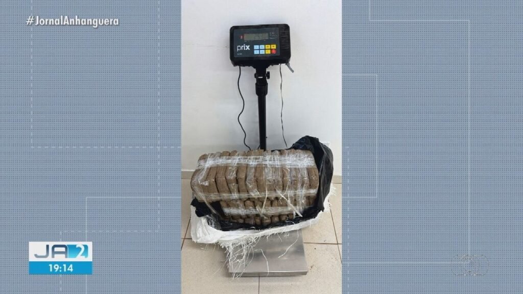 PF de Goiás descobre avião carregado com skunk após pouso forçado em Roraima – G1