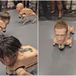 Mark Zuckerberg, Elon Musk e mais viram cães-robôs em museu. Veja vídeo
