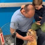 “Após mais de 1 ano”: Eduardo Bolsonaro celebra reencontro com cadela