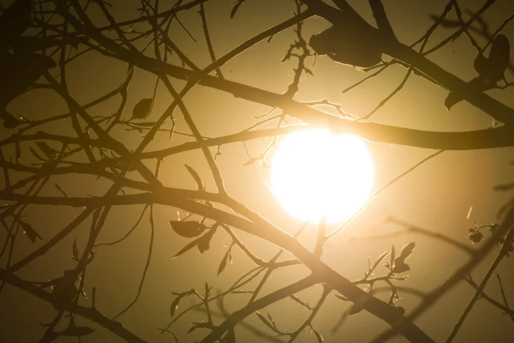 Cidade baiana registra maior temperatura do Nordeste; veja ranking