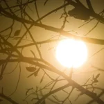 Cidade baiana registra maior temperatura do Nordeste; veja ranking