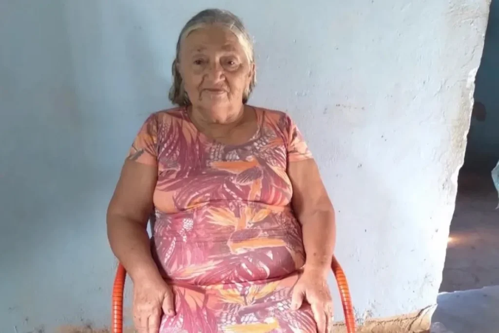 Mulher de 75 anos morre após ser atacada por enxame de abelhas no CE