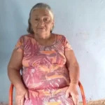 Mulher de 75 anos morre após ser atacada por enxame de abelhas no CE