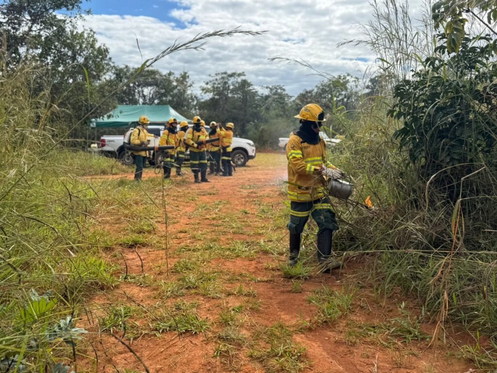 Equipes especializadas vão atuar no manejo do fogo em áreas de conservação do DF