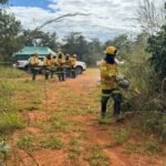 Equipes especializadas vão atuar no manejo do fogo em áreas de conservação do DF