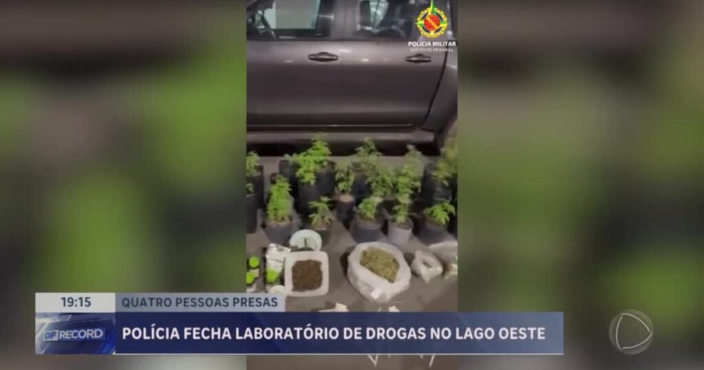 PM desmonta laboratório de drogas e apreende 40 pés de maconha no Lago Oeste (DF) – Noticias R7