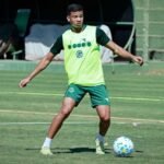 Goiás renova contratos de lateral e goleiro revelados pelo clube – O Popular