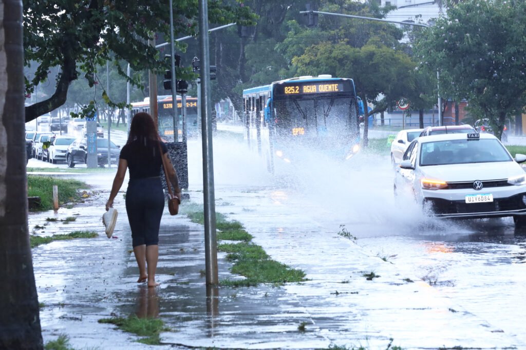 Leptospirose: chuvas aumentam risco de contaminação no DF