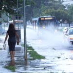 Leptospirose: chuvas aumentam risco de contaminação no DF