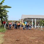 Espaço da Fruticultura da Emater-DF na AgroBrasília apresenta técnicas para ampliar renda