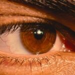 Pesquisa apoiada pela FAPDF busca explicar circulação de líquido essencial ao funcionamento do sistema ocular