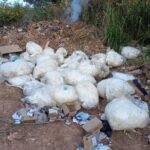 Fábrica no Gama é multada por fazer descarte irregular de lixo às margens de rodovia