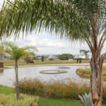 Construído após 48 anos de espera, Jardim Burle Marx transforma área central de Brasília