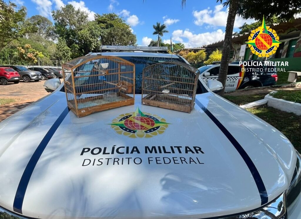 Três pessoas são autuadas por crimes ambientais em Ceilândia e Candangolândia