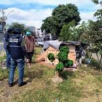 PMDF detém homem com histórico criminal em operação conjunta