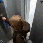 Vídeo mostra momento em que carregador portátil explode dentro de elevador e mulher fica presa com chamas na Rússia