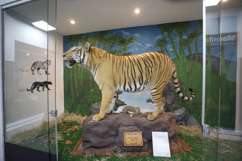Museu de Ciências Naturais do Zoológico de Brasília é reaberto após reforma