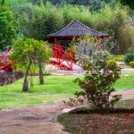 Jardim Botânico de Brasília encerra 2025 com recorde de visitação e avanços na conservação do Cerrado