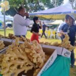 Gengibre ganha data oficial no DF e reforça protagonismo de produtores da raiz