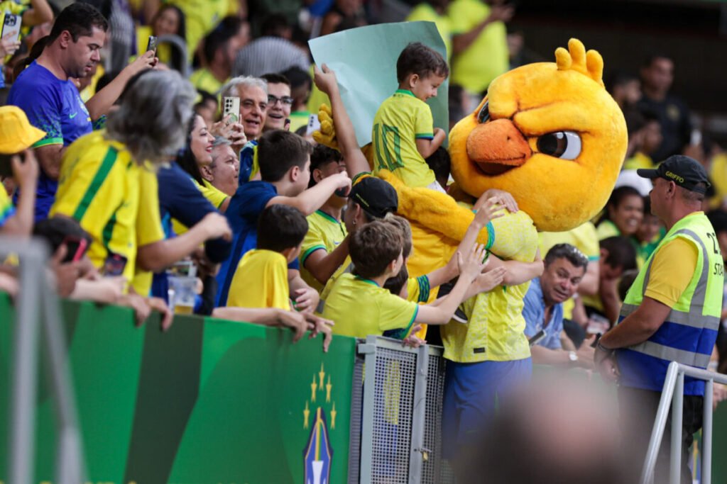 Na força do grito: como a torcida afeta o mental dos atletas na Copa