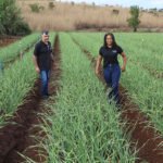 Do campo para a mesa: DF soma mais de 1,2 mil projetos e R$ 67 milhões em crédito rural desde 2019