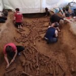 Estudo acha corpos decapitados há 7 mil anos; suspeita é de ritual