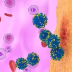 Terapia CAR-T será testada contra lúpus e miastenia no Brasil
